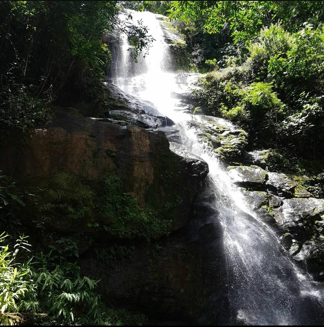 Cachoeira da Mata
