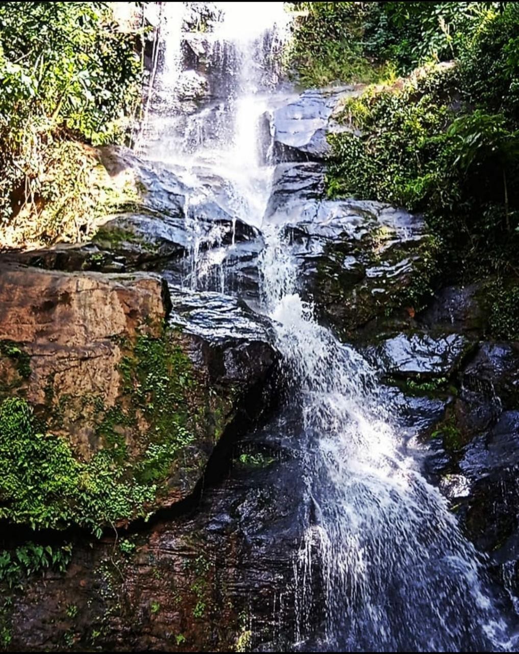 Cachoeira da Mata