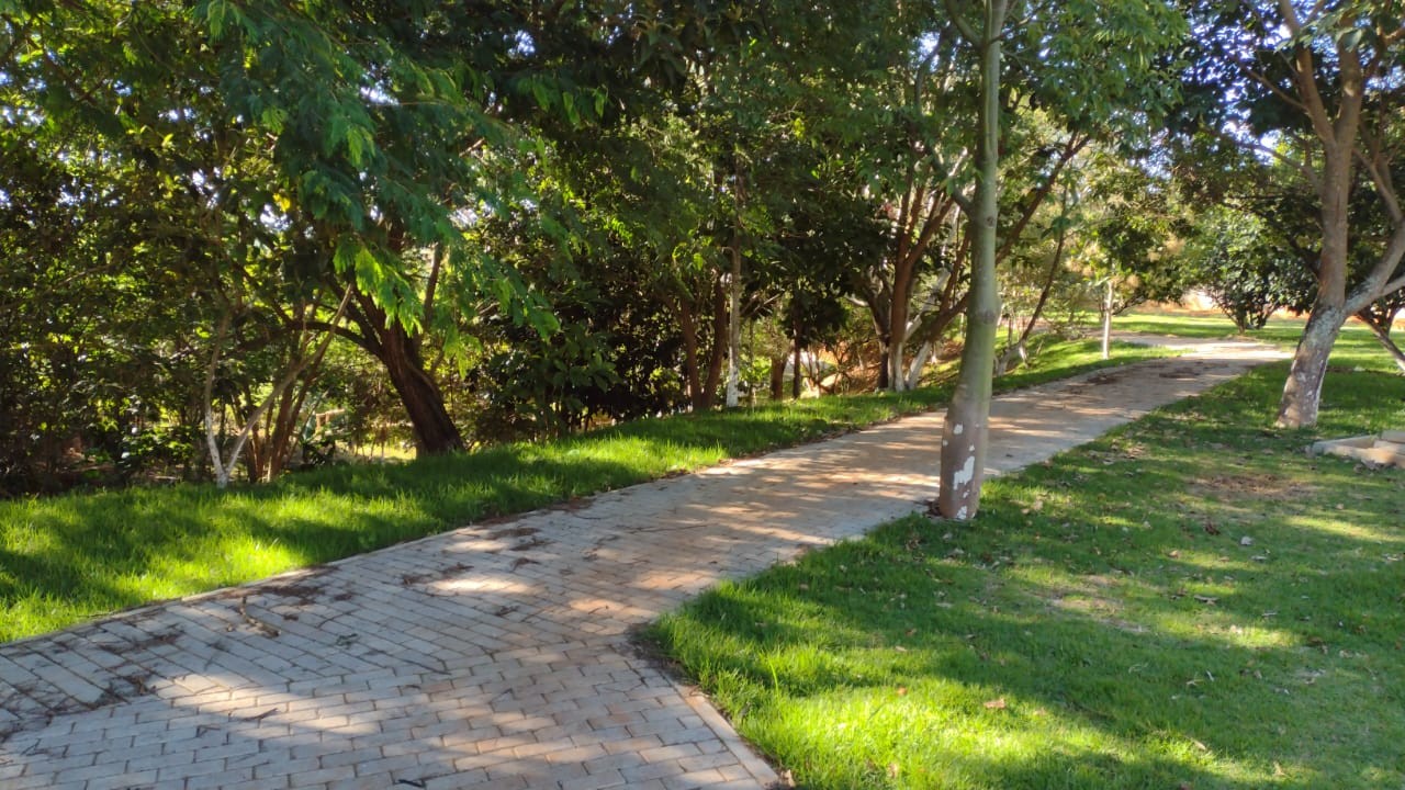 Parque da Mina