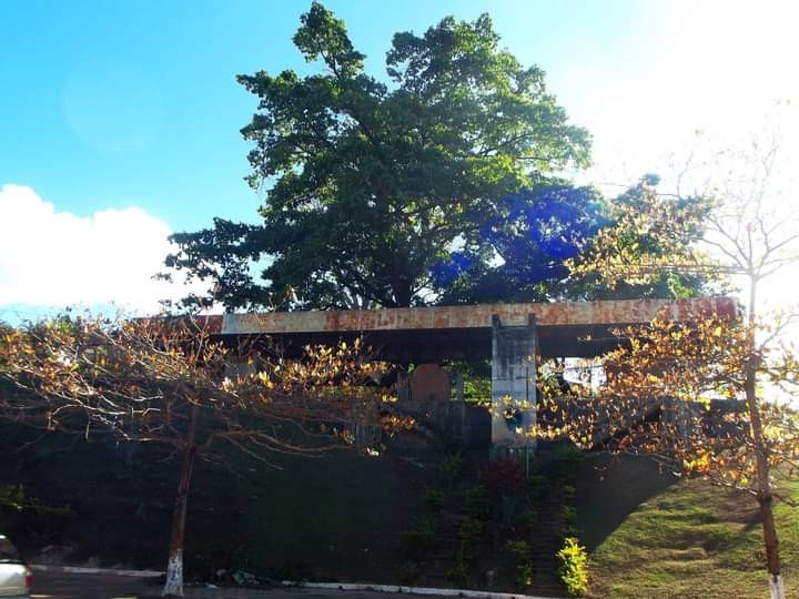 Paredão 