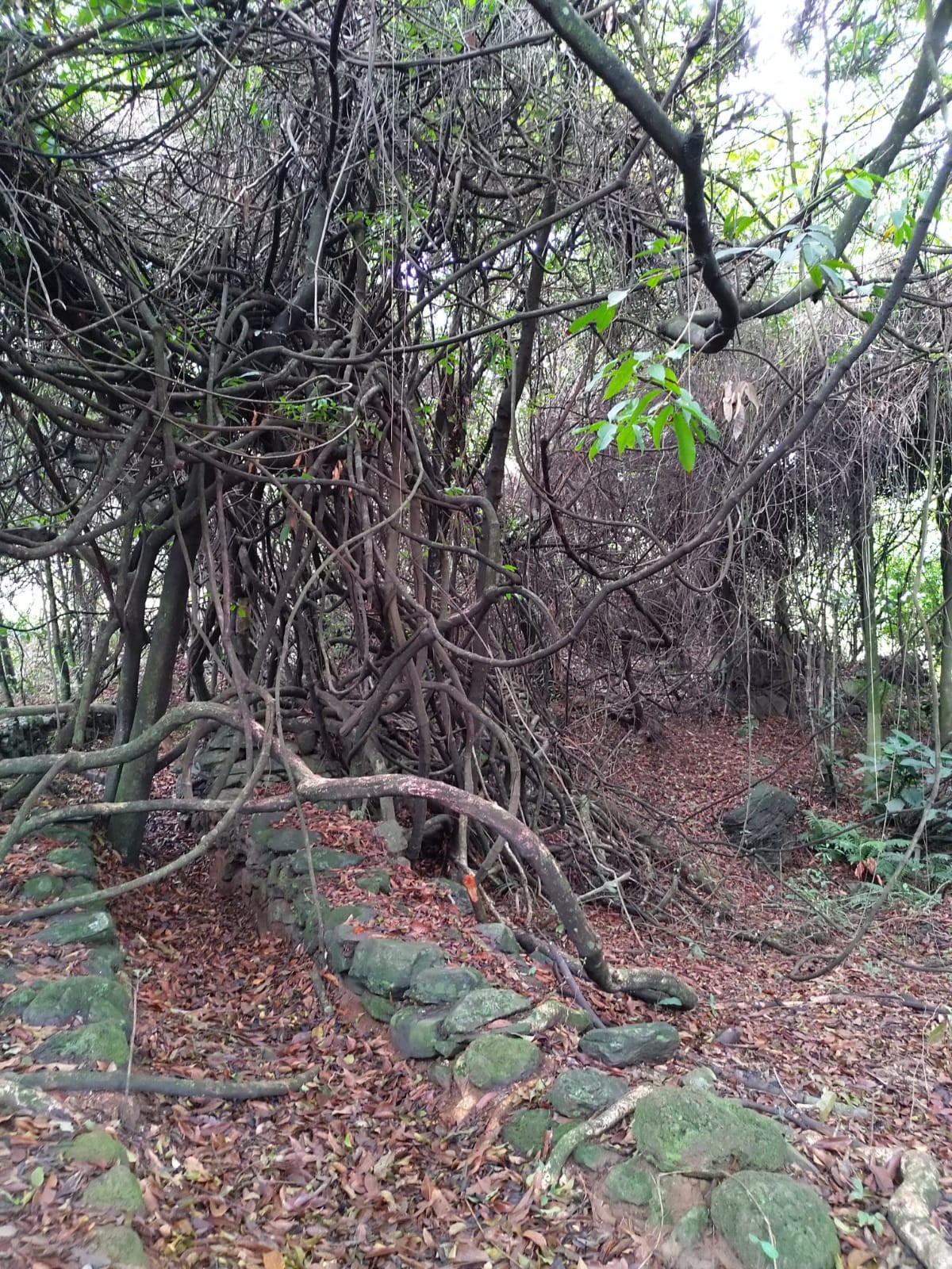 Mundéu de Pedras - Curral dos Cabritos