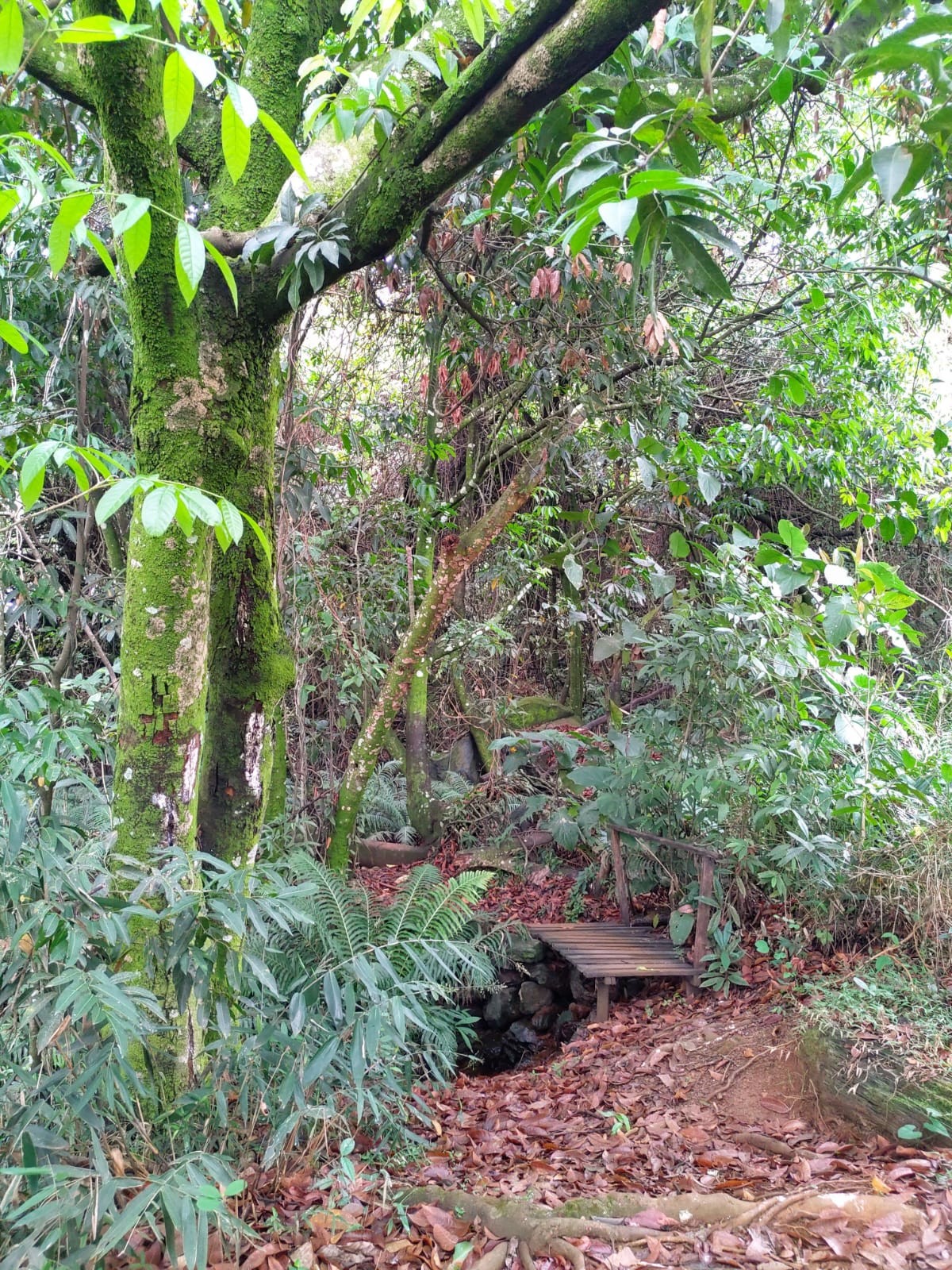 Mundéu de Pedras - Curral dos Cabritos