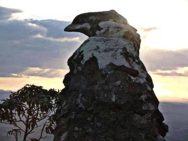 Pico  e Pedra do Gavião
