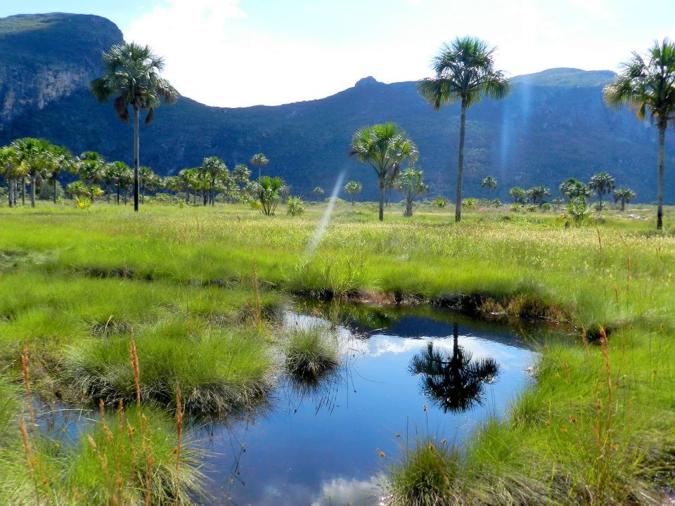 Parque Estadual de Botumirim