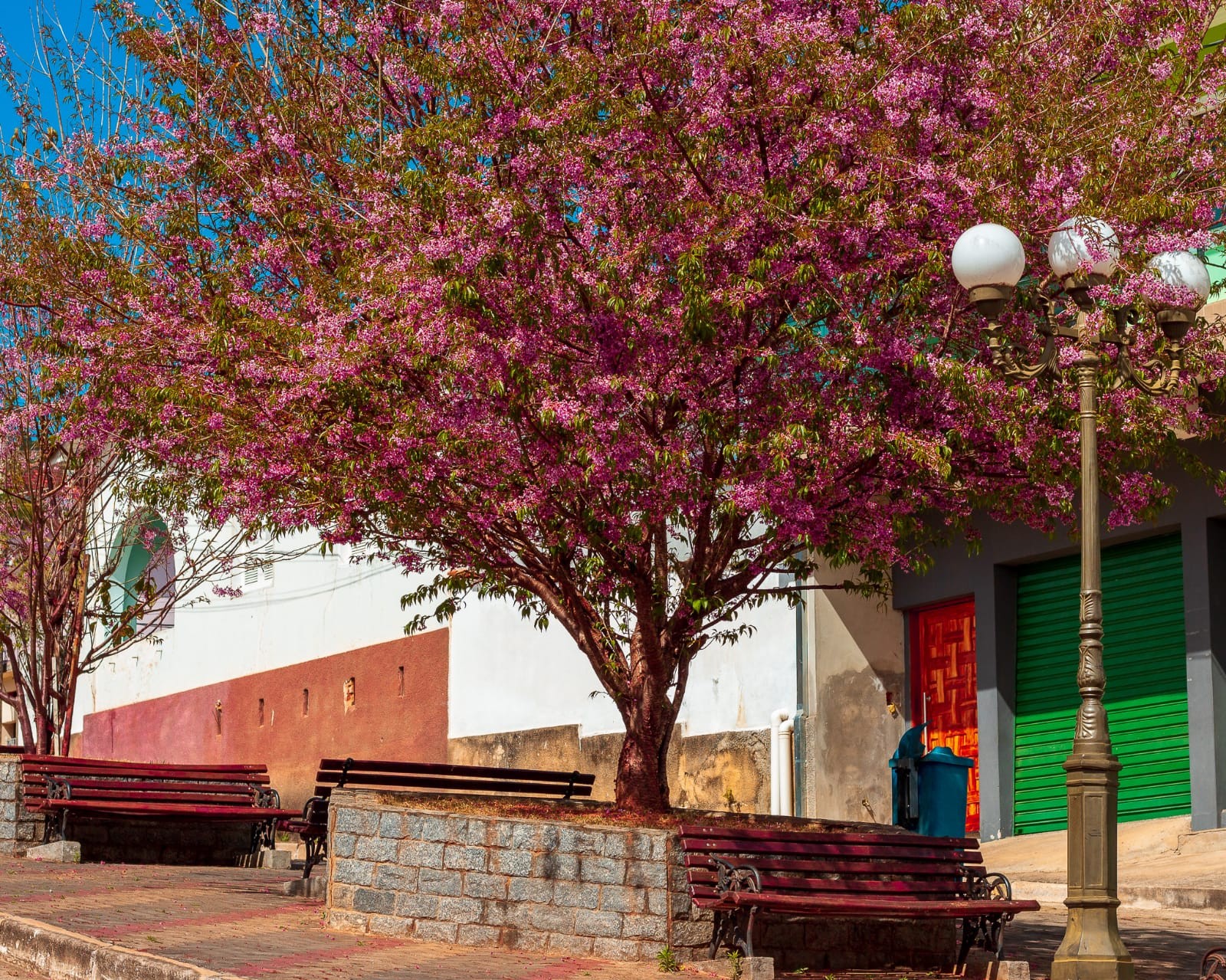 Praça Dr Augusto de Alkimim