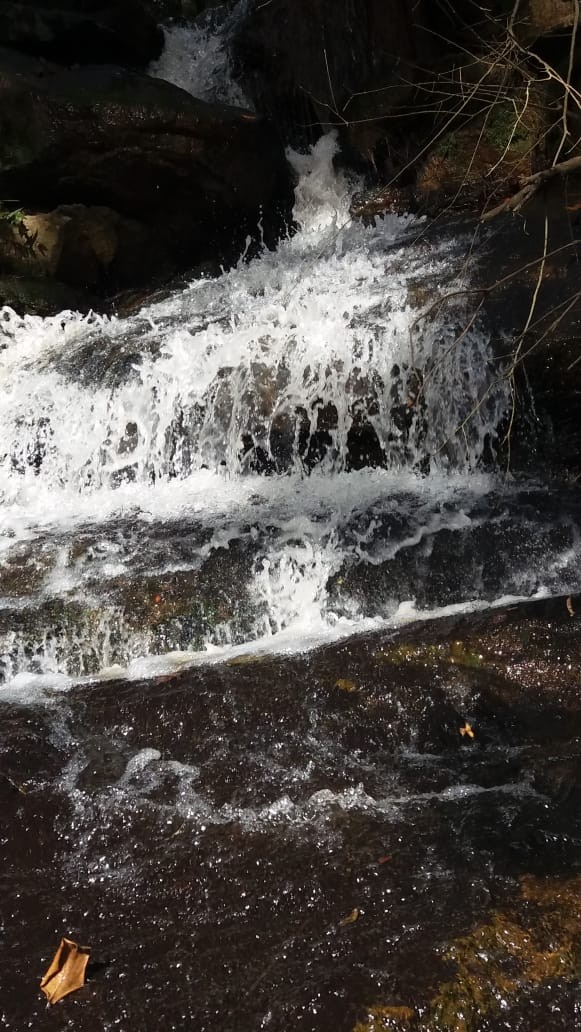 Cachoeira da Casa Veia