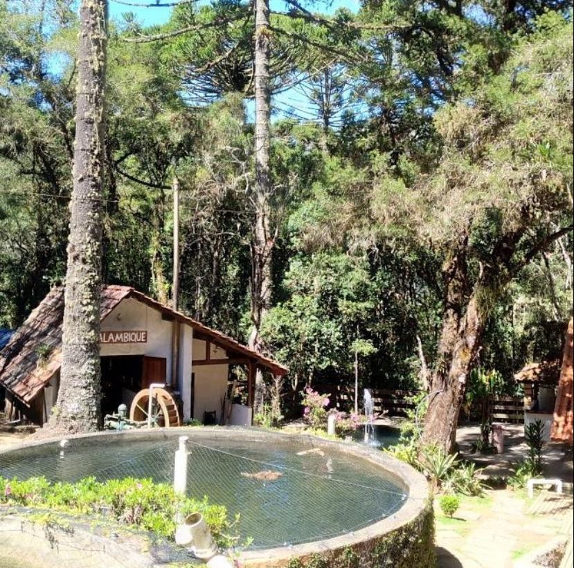 Restaurante Paulo das Trutas