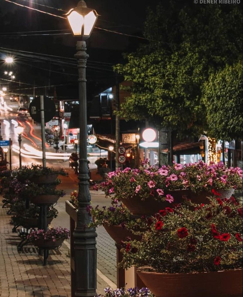 AVENIDA MONTE VERDE