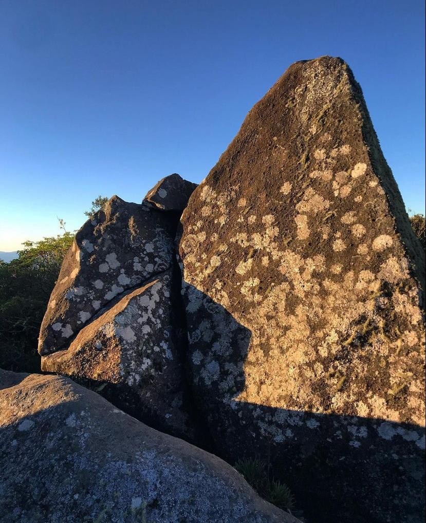 Chapéu do Bispo