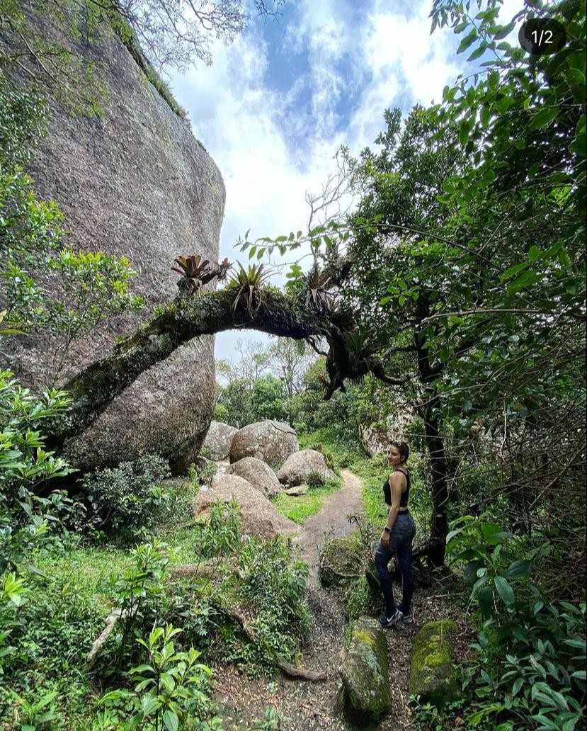 Chapéu do Bispo