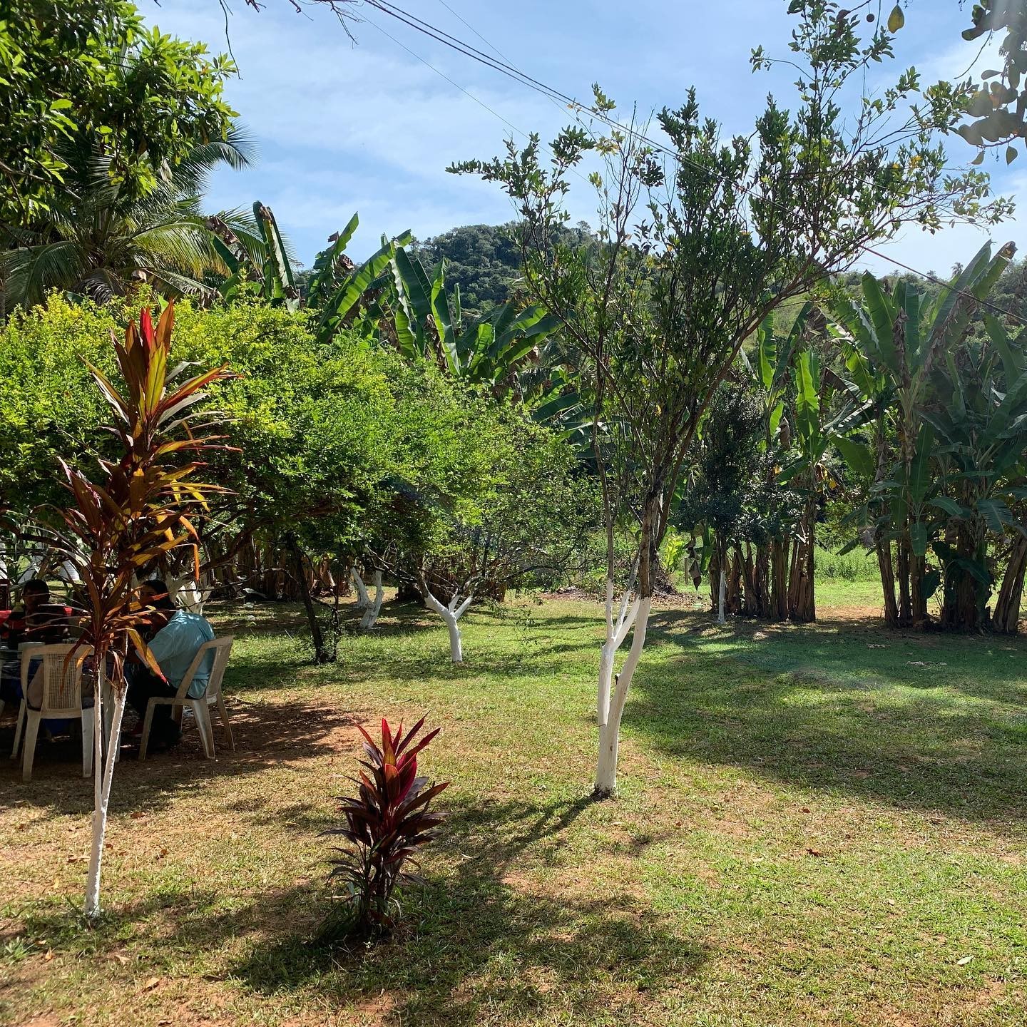 Paiol Restaurante