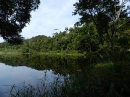 Parque da Lagoa