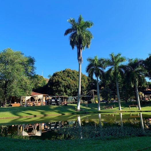 Quintal do Sr. Matanza