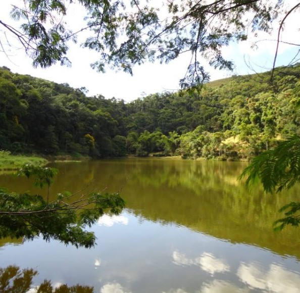 Parque da Lajinha