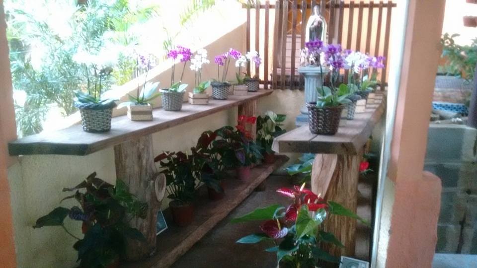 Orquidário Sítio Santo Antônio