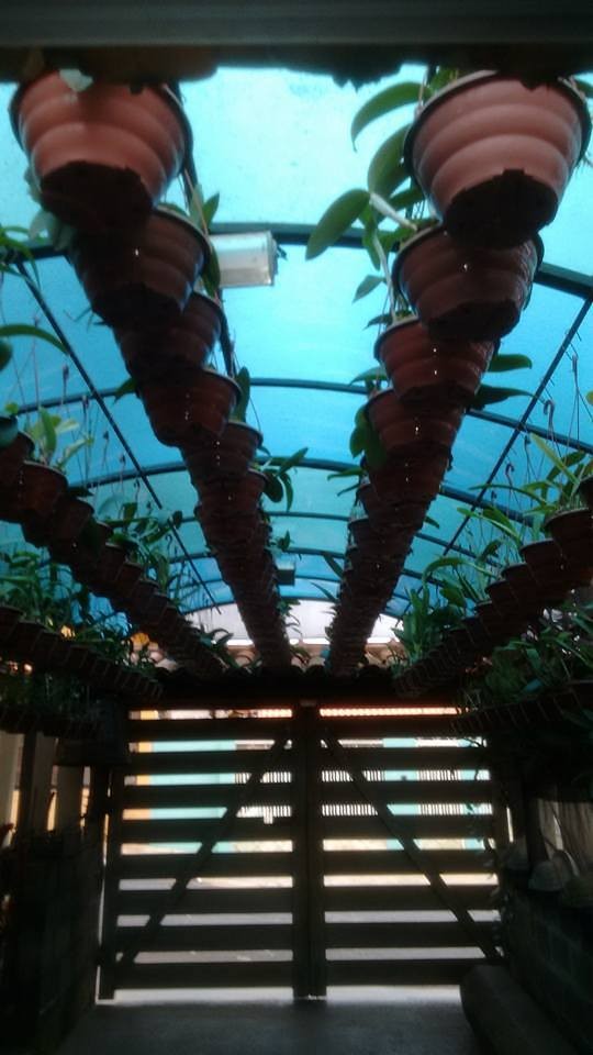 Orquidário Sítio Santo Antônio