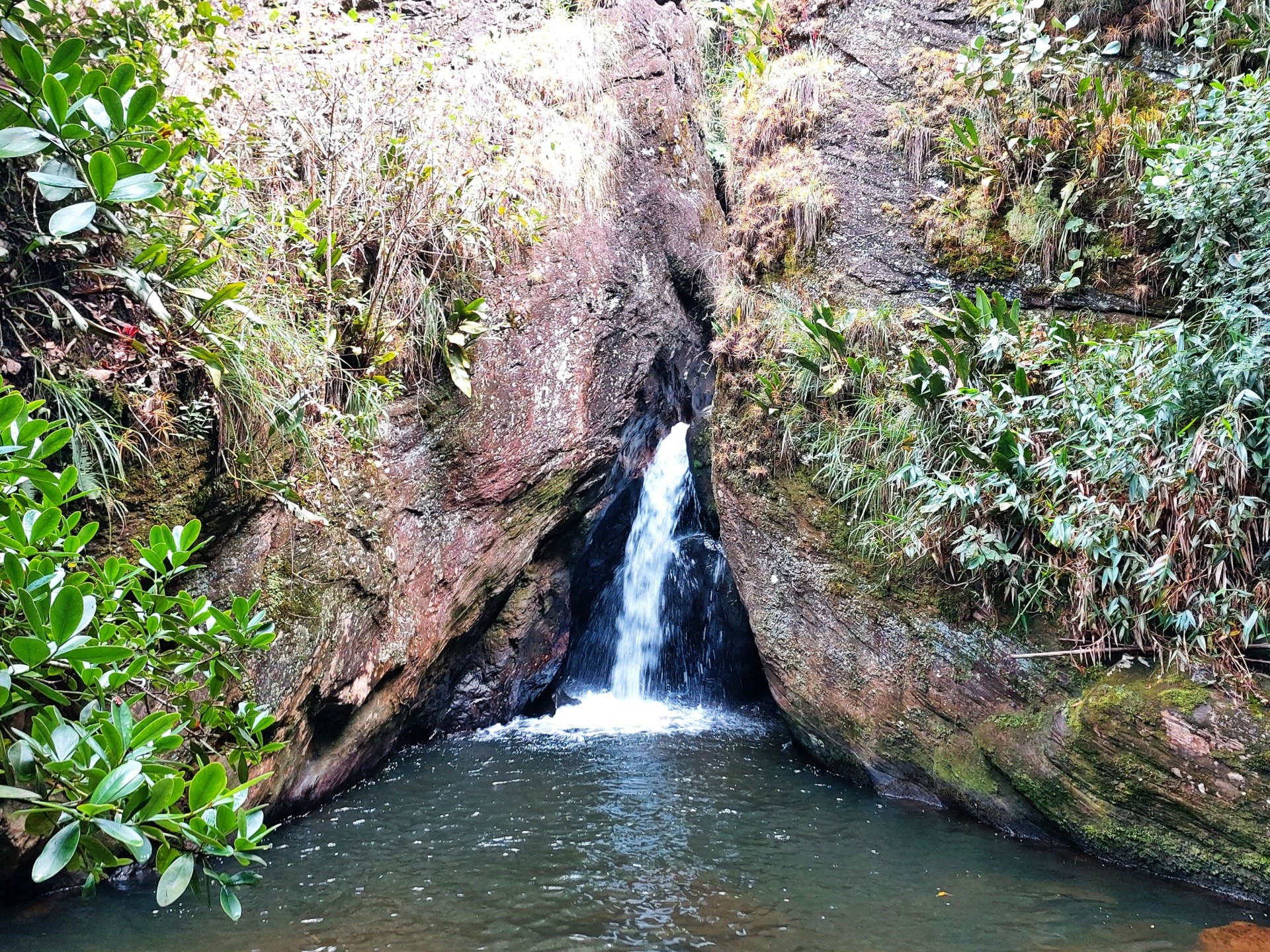 Cachoeira da Bromélia