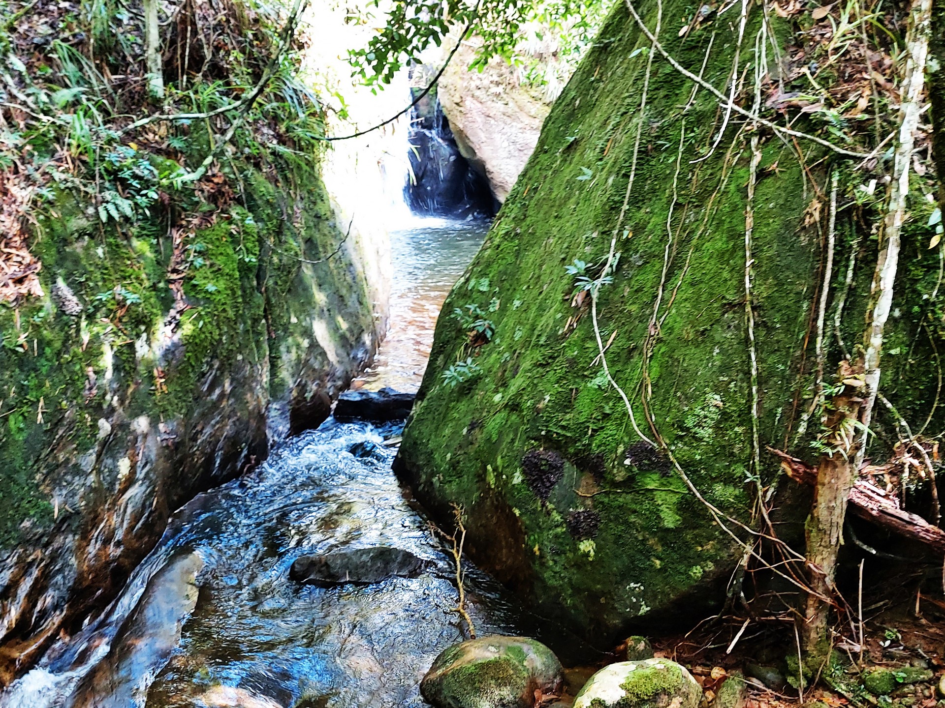Cachoeira da Bromélia