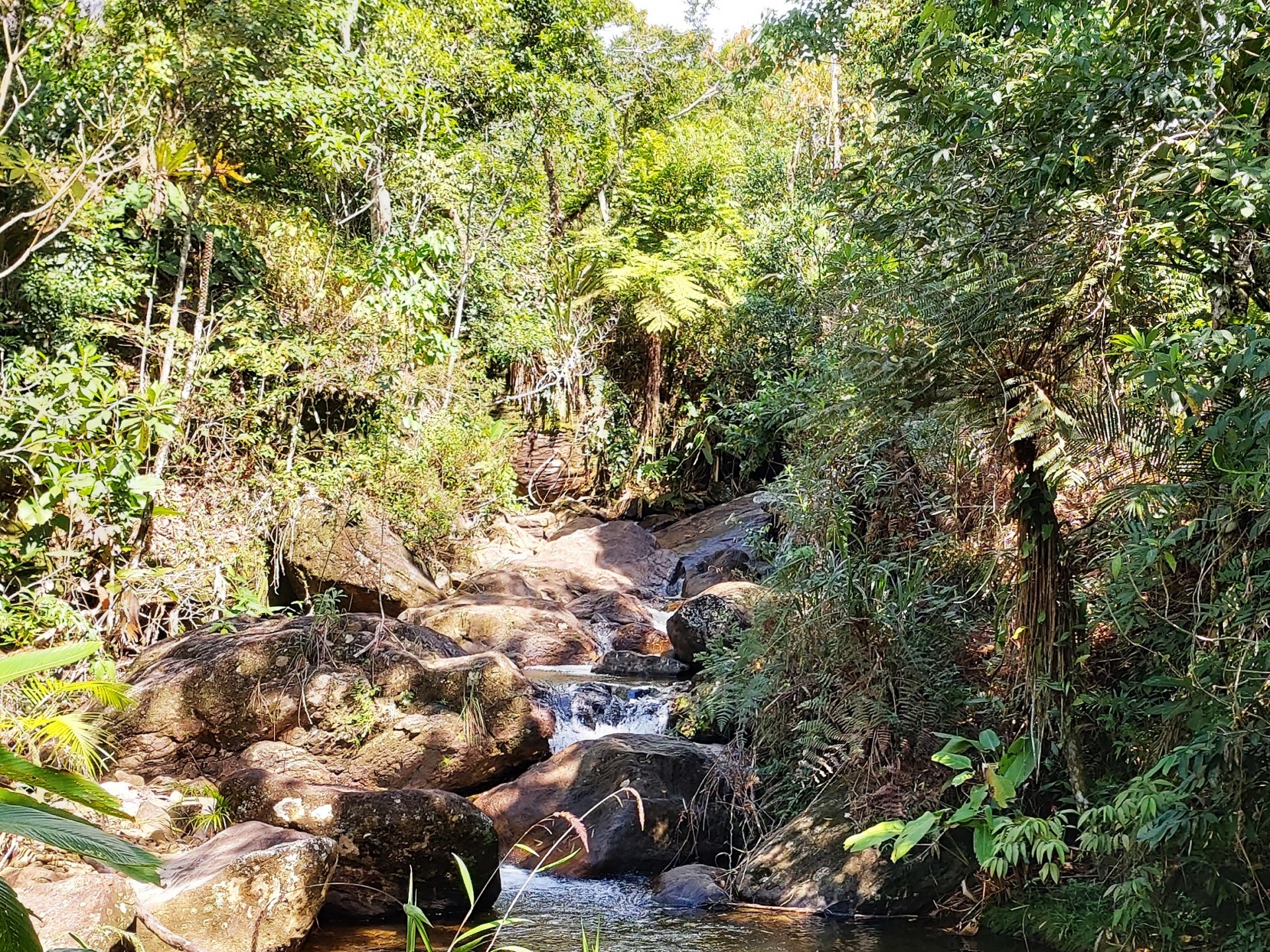 Cachoeira da Bromélia