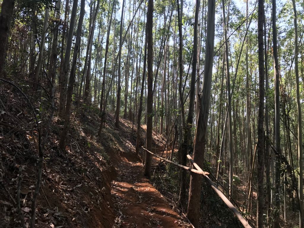 XCO Zé Vião