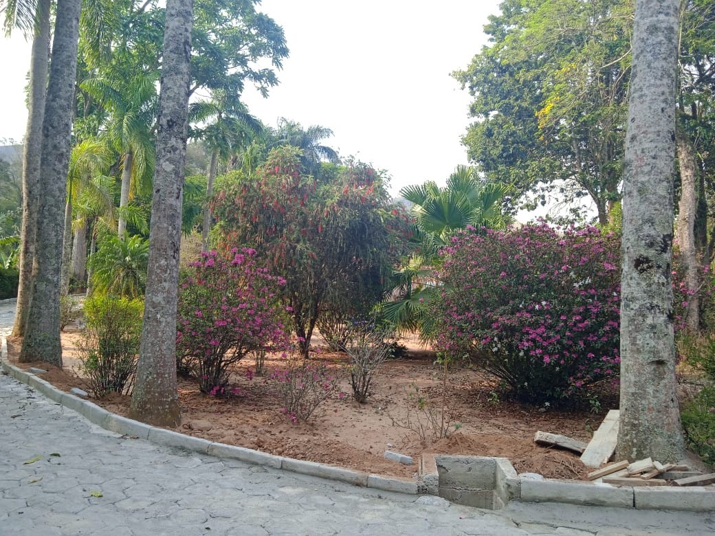 Horto Florestal