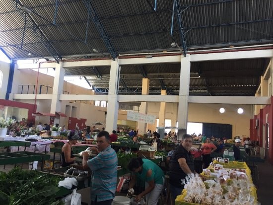 Mercado Municipal