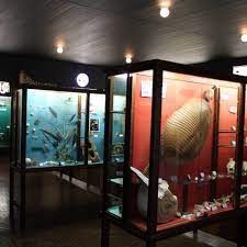 Museu da UFLA