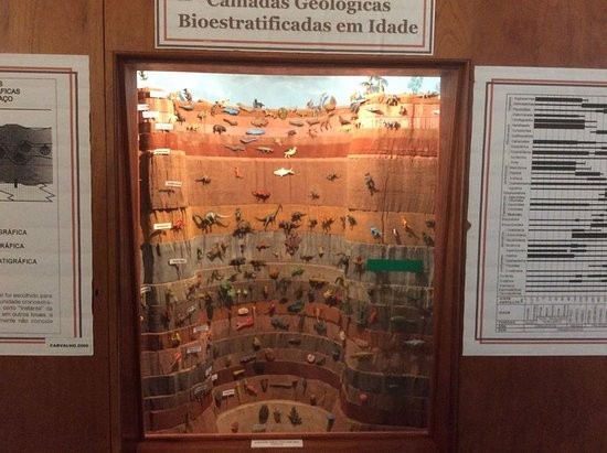 Museu da UFLA