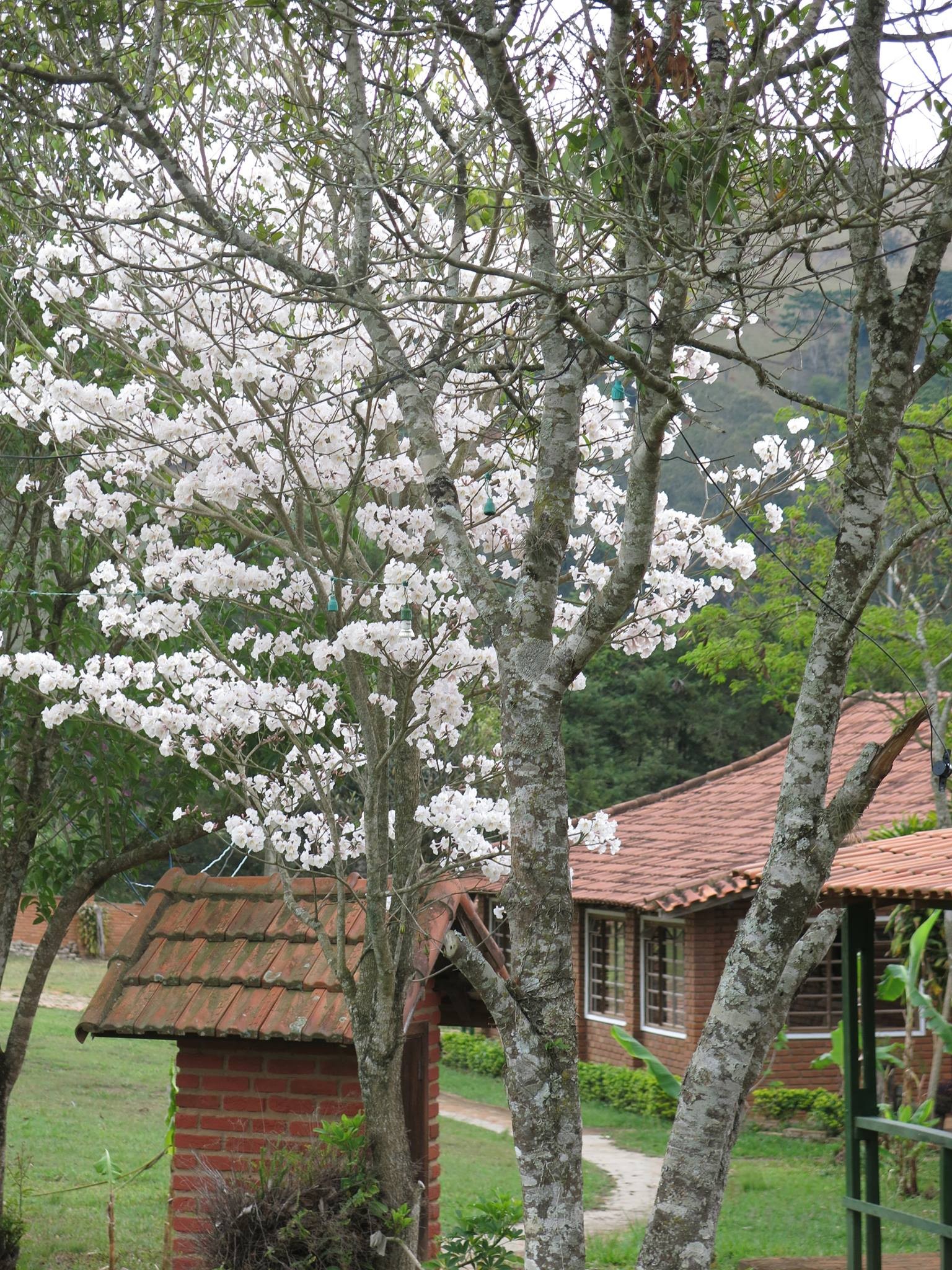 Pousada do Verde