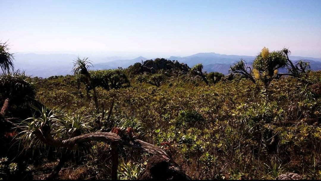 Pico da Bela Adormecida