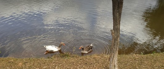 Lagoa do Capão