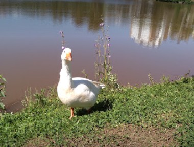 Lagoa do Capão