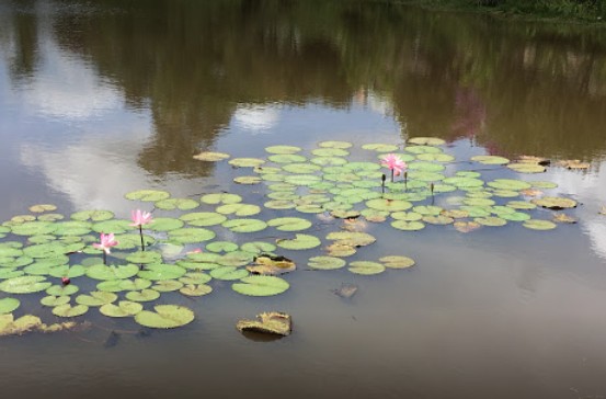Lagoa do Capão