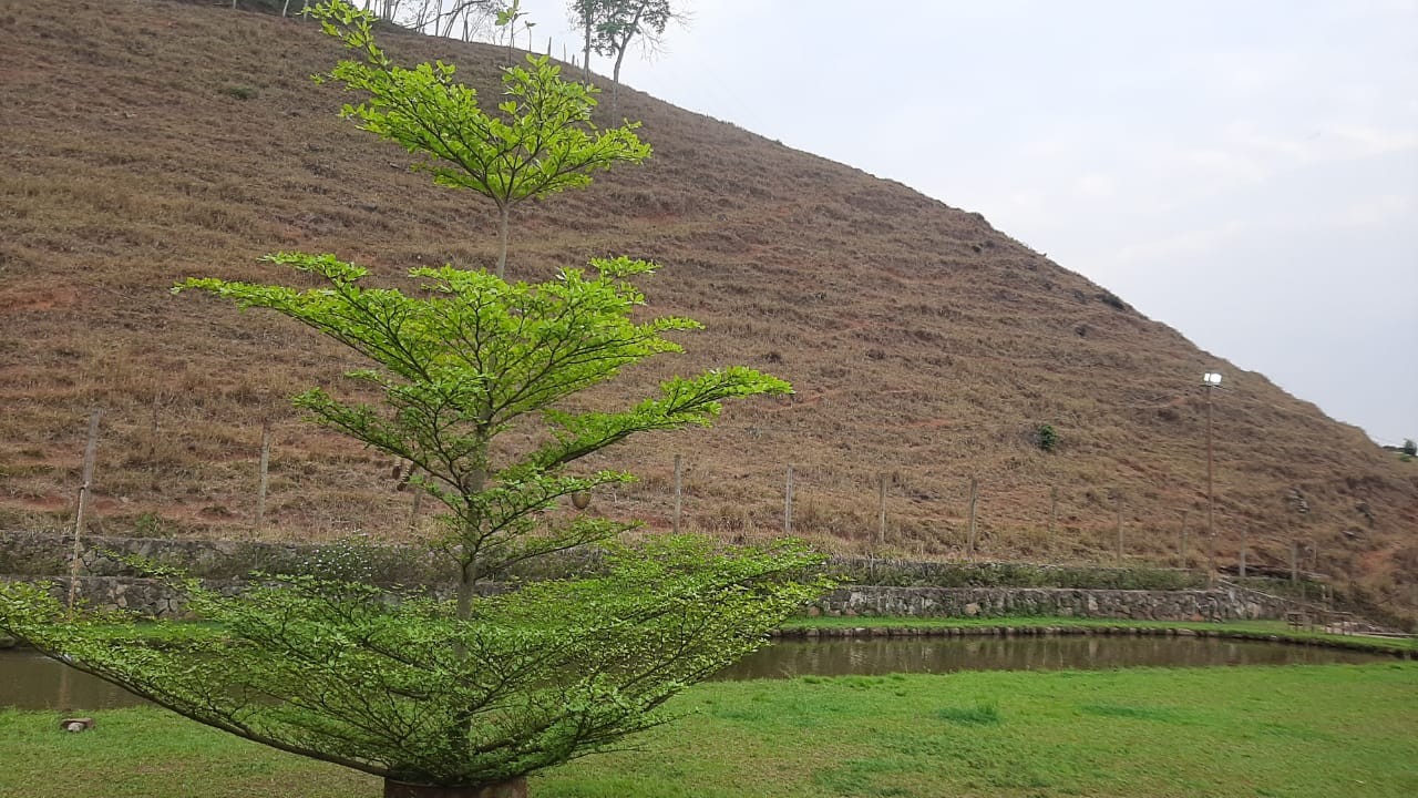 Fazenda Monteiro