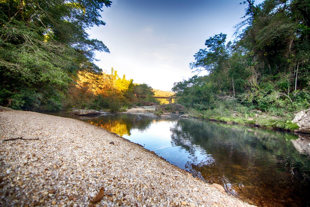 Ponte do Alecrim 