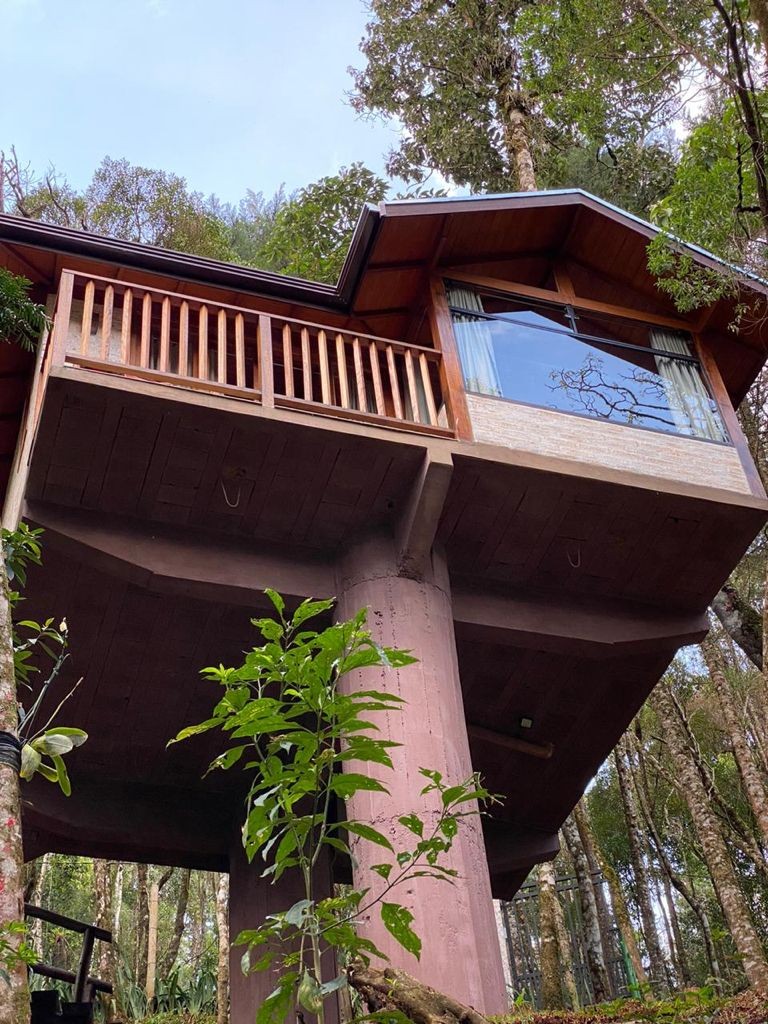 MUSHROOMS ECO VILLAGE