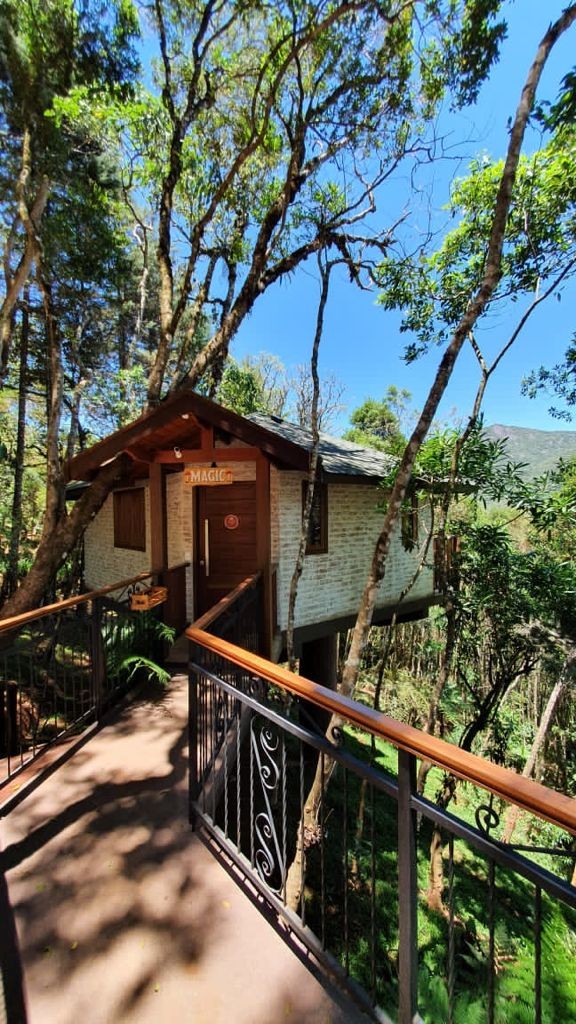 MUSHROOMS ECO VILLAGE