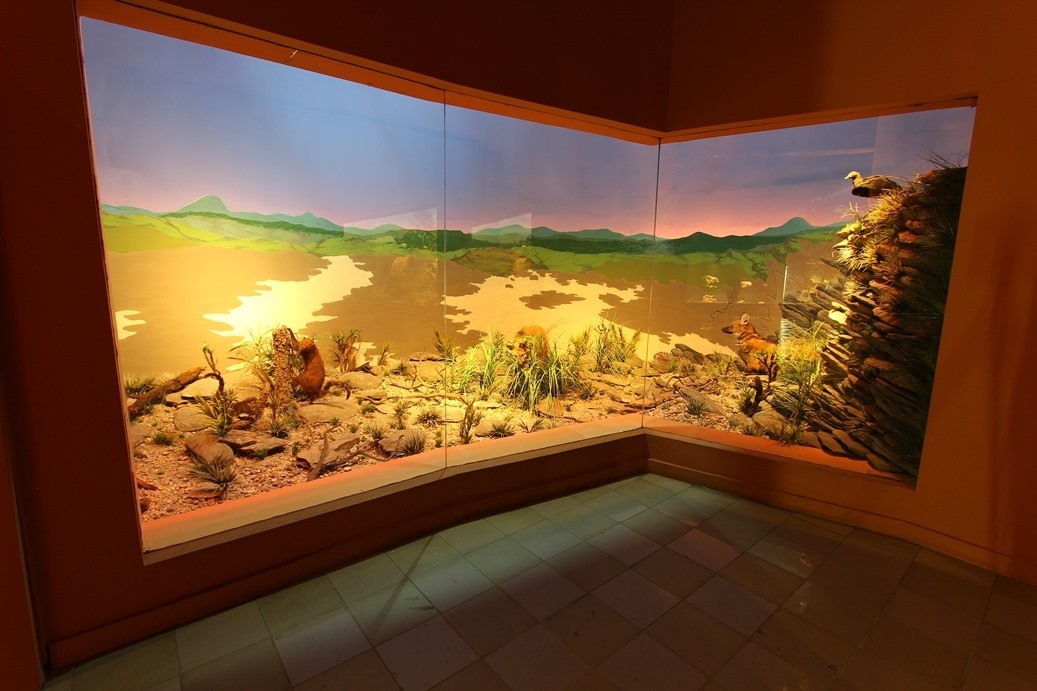 Museu de Ciências Naturais - PUC Minas