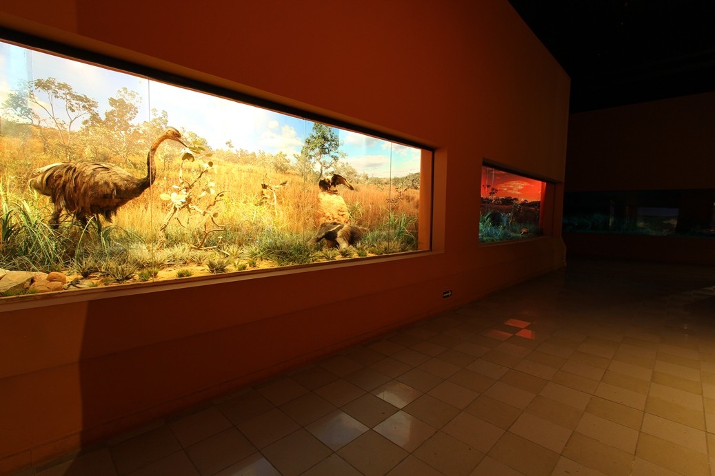 Museu de Ciências Naturais - PUC Minas