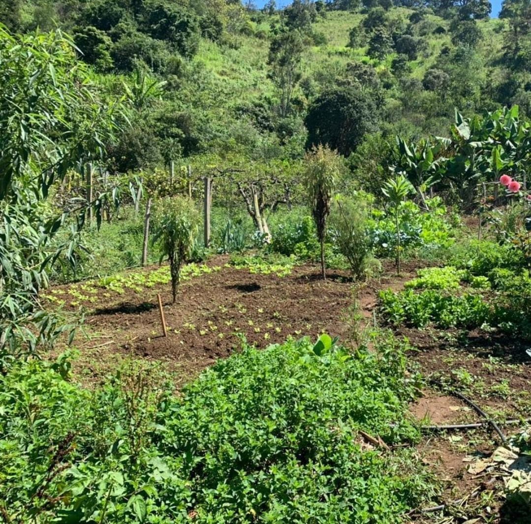 Serra dos Noronhas