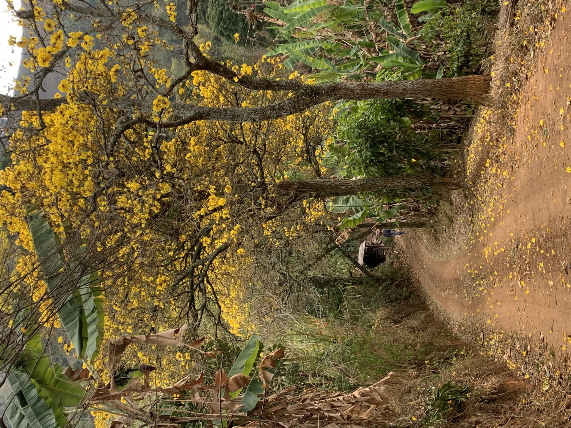 Serra dos Noronhas