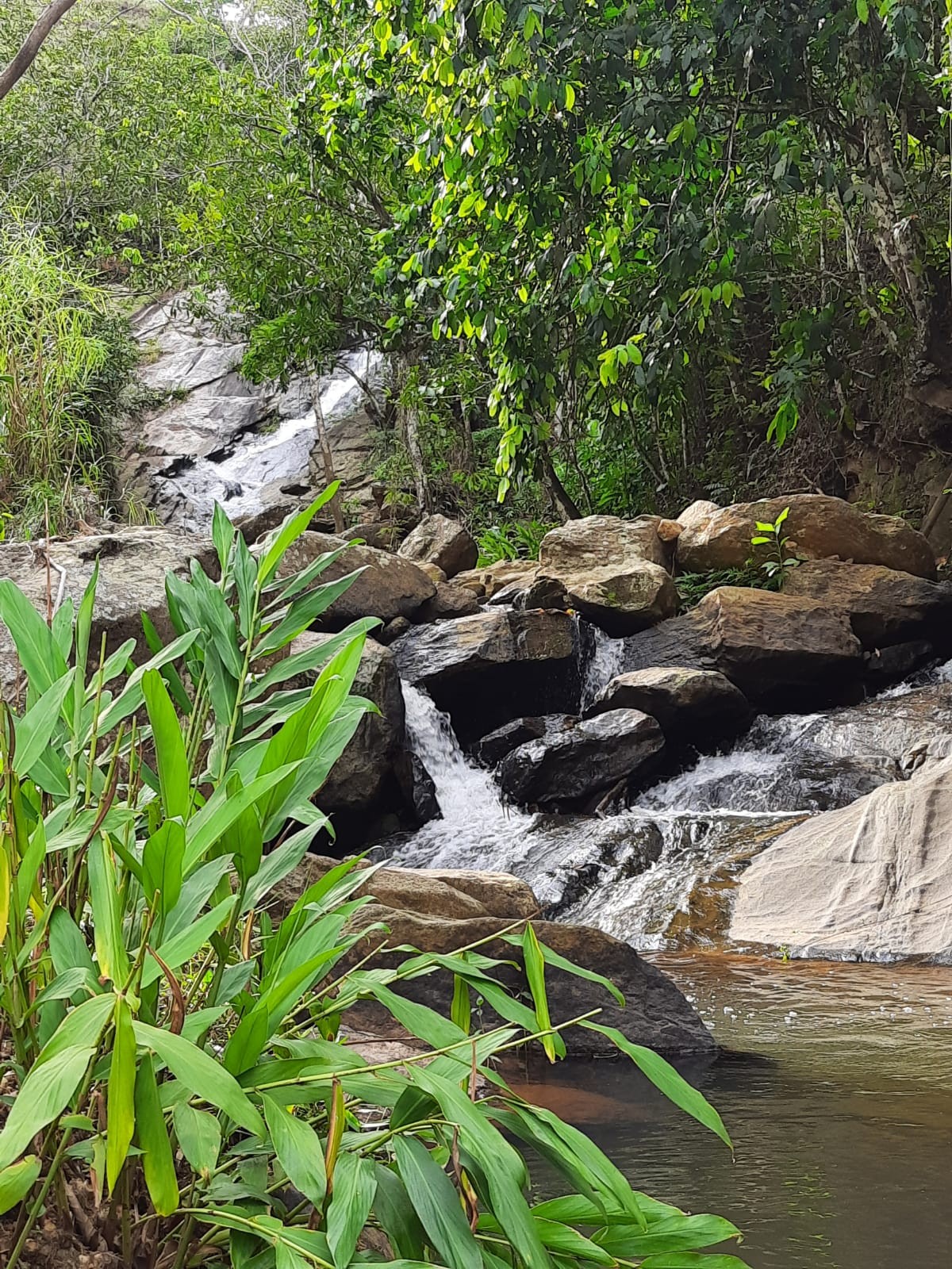 Cachoeira do Zuíca