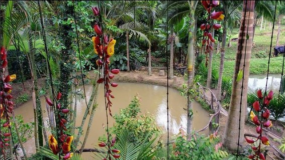 Chacara do Vicentinho