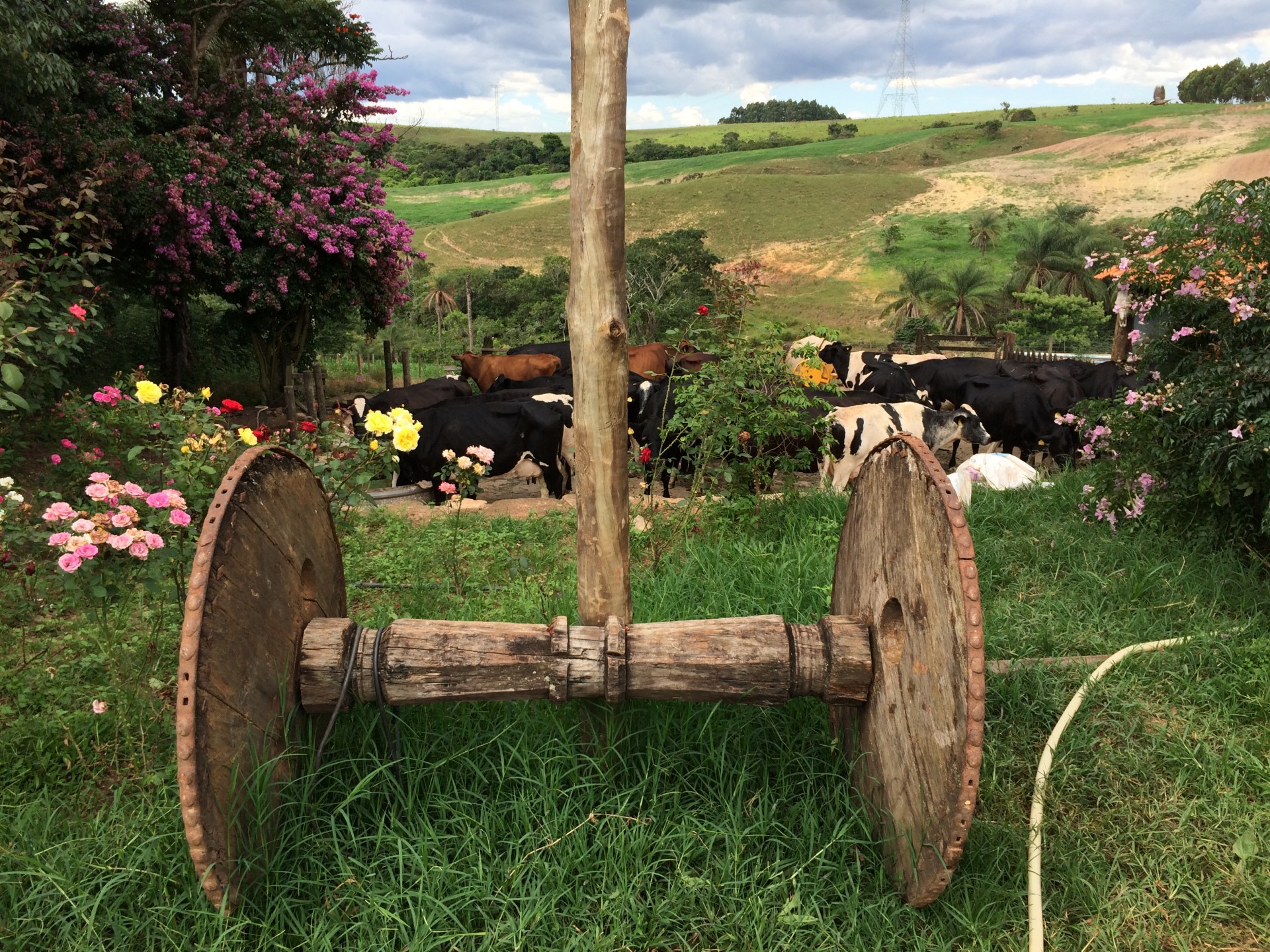 Fazenda Caxambu