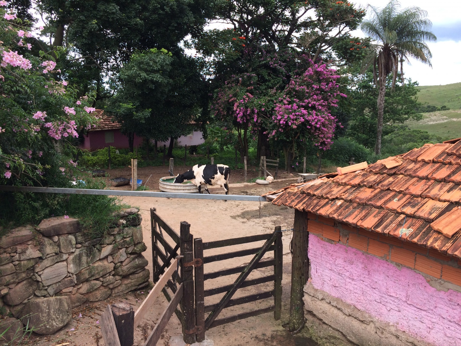 Fazenda Caxambu