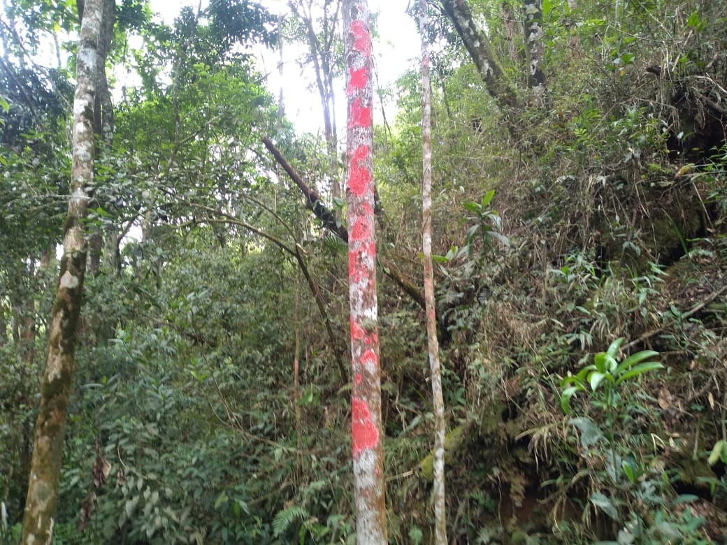 Cachoeira do Portão