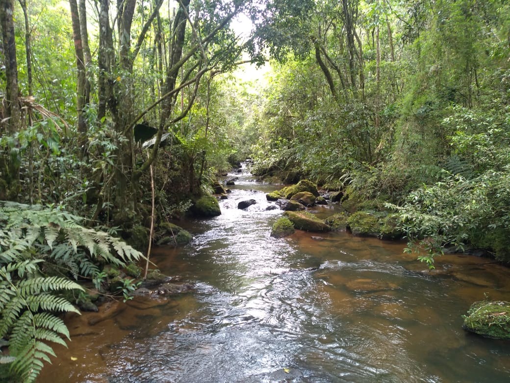 Cachoeira do Portão