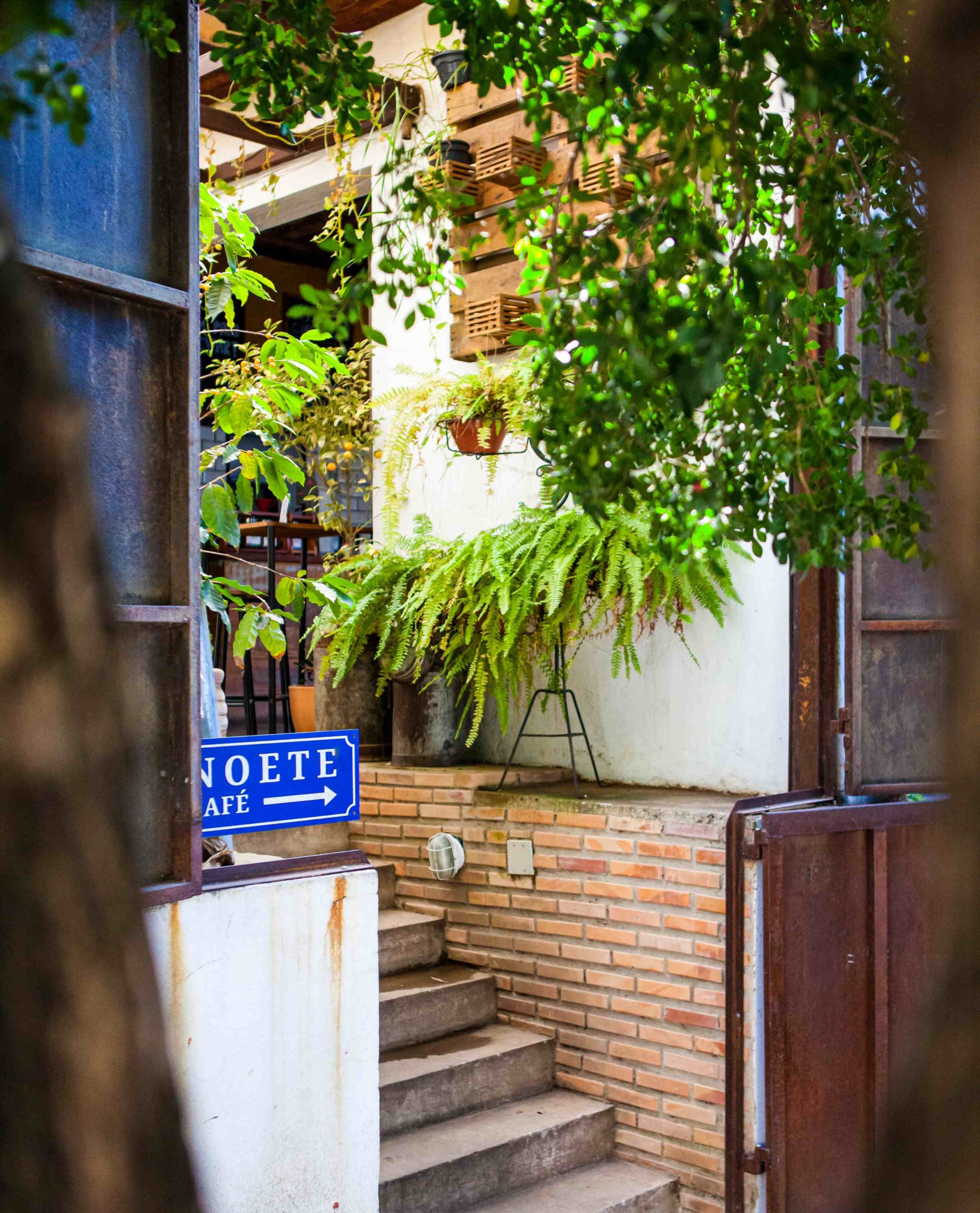 Noete Cafés Especiais