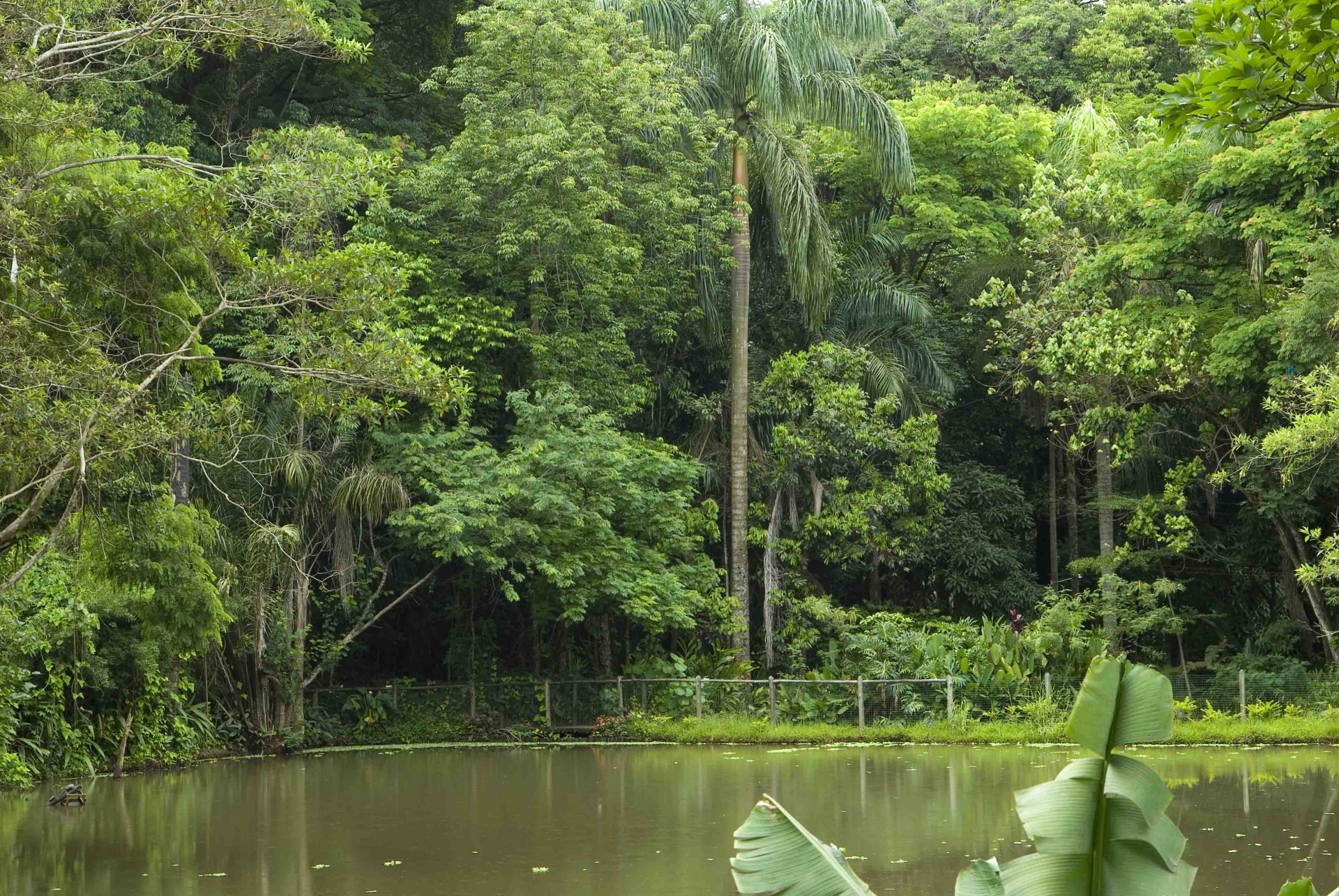 Museu de História Natural e Jardim Botânico da UFMG