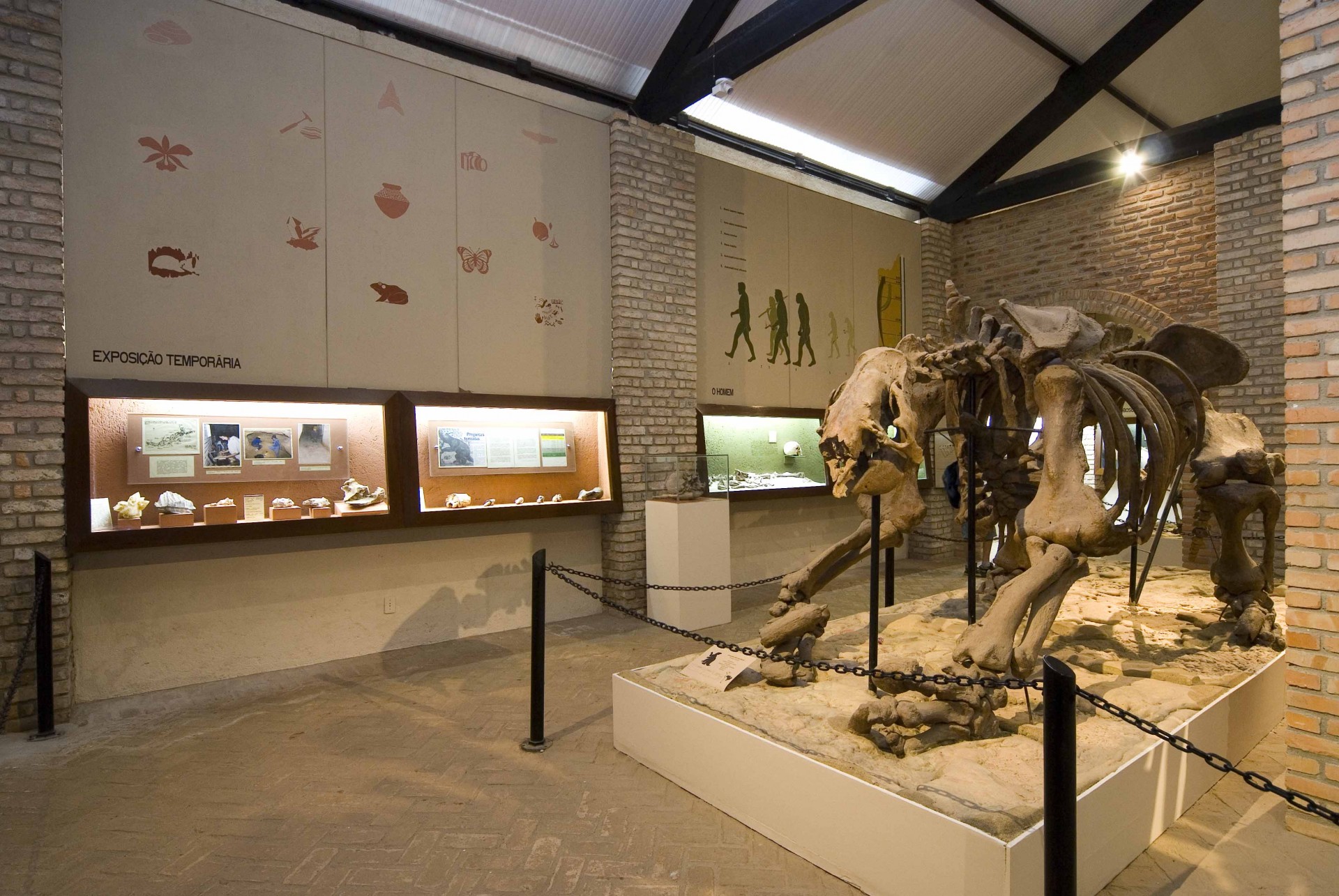 Museu de História Natural e Jardim Botânico da UFMG